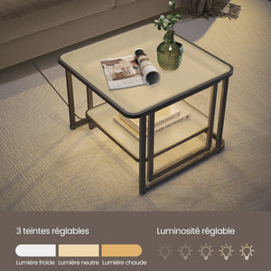 éclairage table basse table basse moderne en verre et acier noir avec rangement